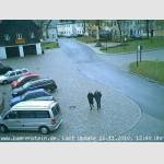 2010-11-11-12-40Uhr.jpg