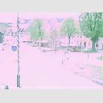 2019-05-12-13-36-Uhr.jpg