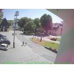 2025-06-12-14-19-Uhr.jpg