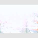 2019-01-31-08-45-Uhr.jpg