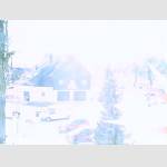 2019-01-31-11-35-Uhr.jpg