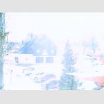 2019-01-31-12-20-Uhr.jpg