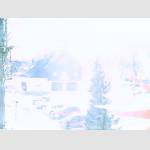 2019-01-31-12-25-Uhr.jpg