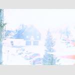 2019-01-31-12-35-Uhr.jpg