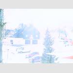 2019-01-31-12-40-Uhr.jpg