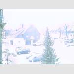 2019-02-19-12-06-Uhr.jpg