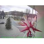 2024-12-20-12-25-Uhr.jpg