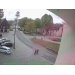 2026-05-11-10-51-Uhr.jpg